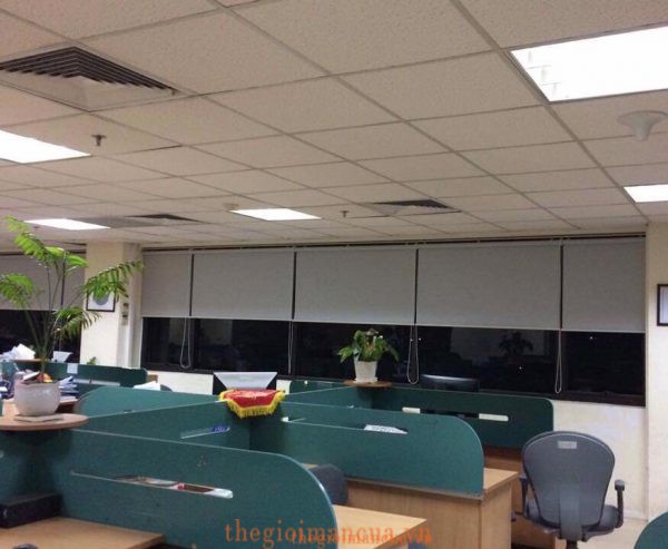 Thế Giới Màn Cửa