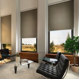 các Mẫu rèm cửa cuốn đẹp cao cấp phòng khách