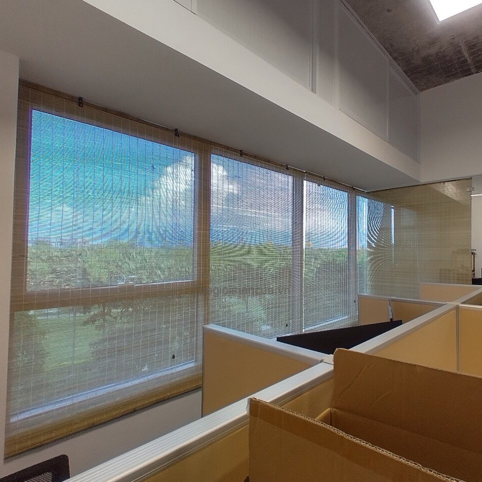 manh-tre-truc-ban-o-dau