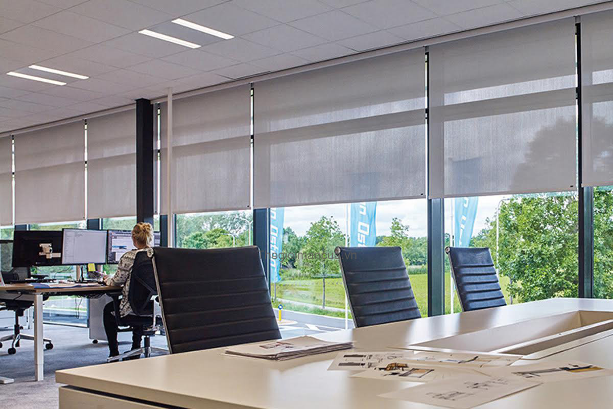 rèm cuốn văn phòng rèm cuốn văn phòng