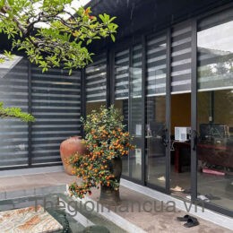 Manf cầu vồng 010