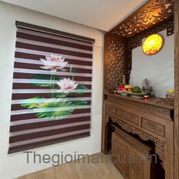 Manf cầu vồng 08